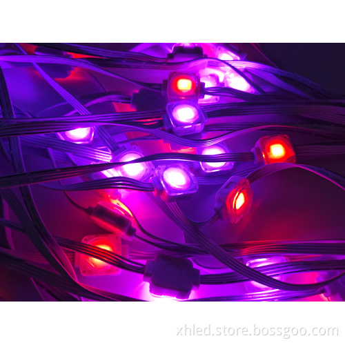Outdoor Holiday LED Point Lights for Christmas Decorations